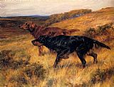 Thomas Blinks Two Pointers in a Landscape